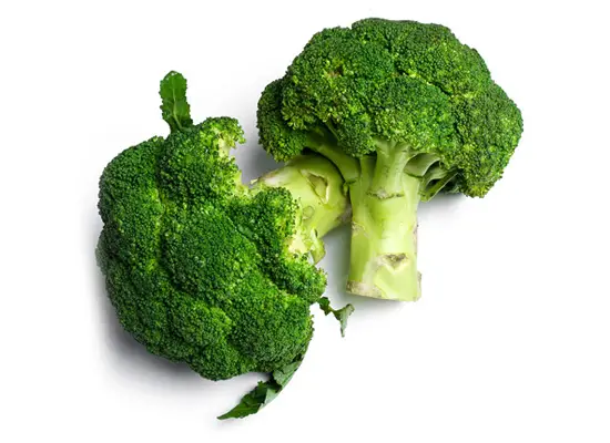 tro det eller ei, hunder kan spise brokkoli