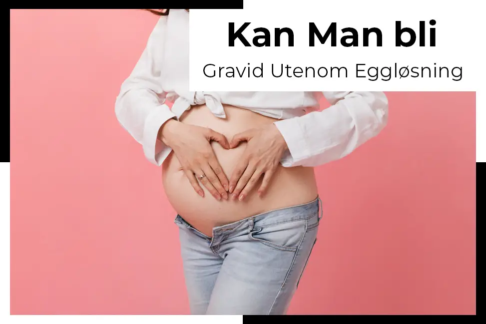 eggløsning gravid