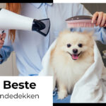hundeblaser 1