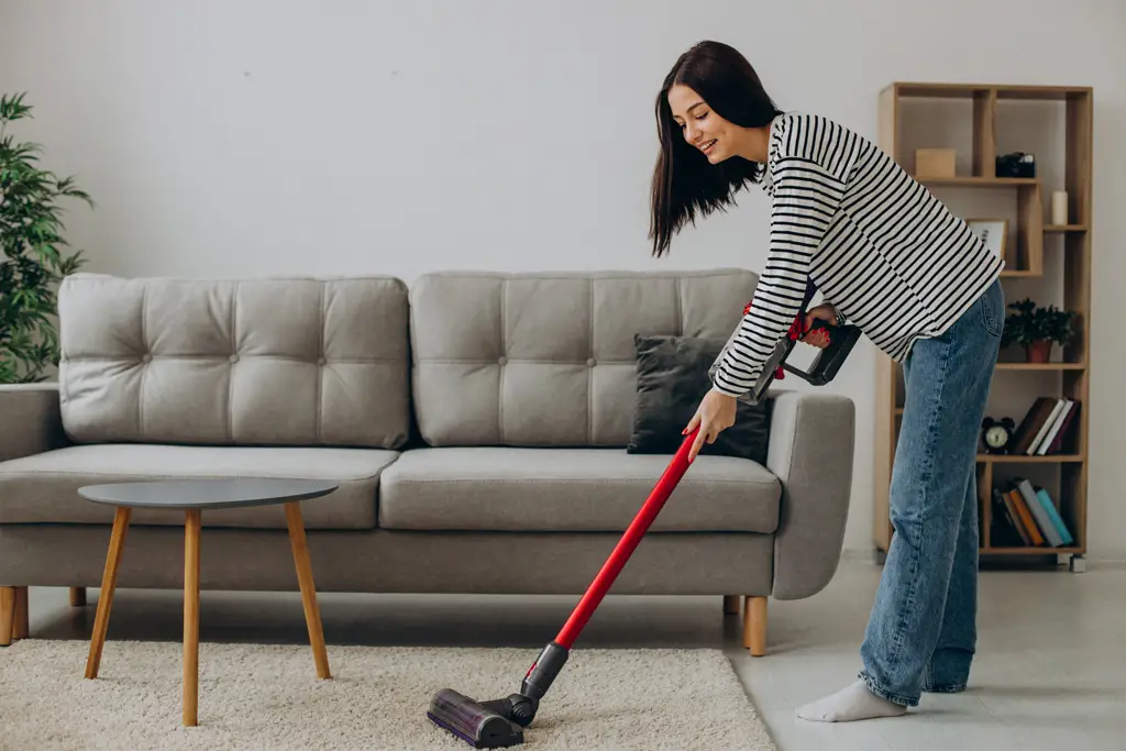 rengjør gulvene dine uten å måtte bekymre deg for ledninger med en oppladbar støvsuger