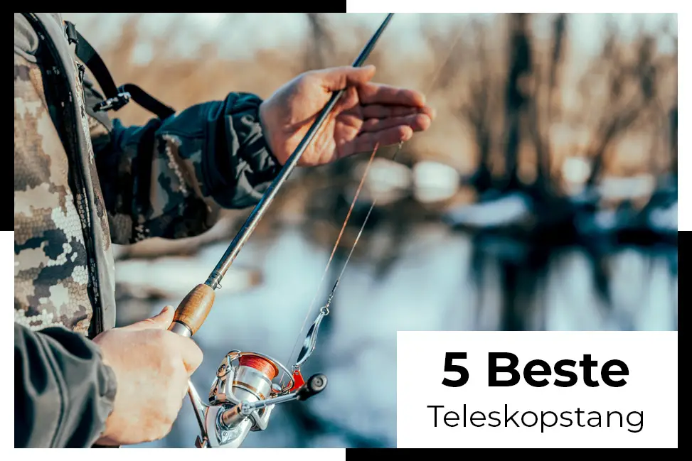 beste teleskopstang for både nybegynnere og eksperter best i test