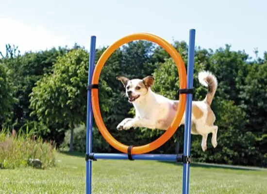 agility hoppering