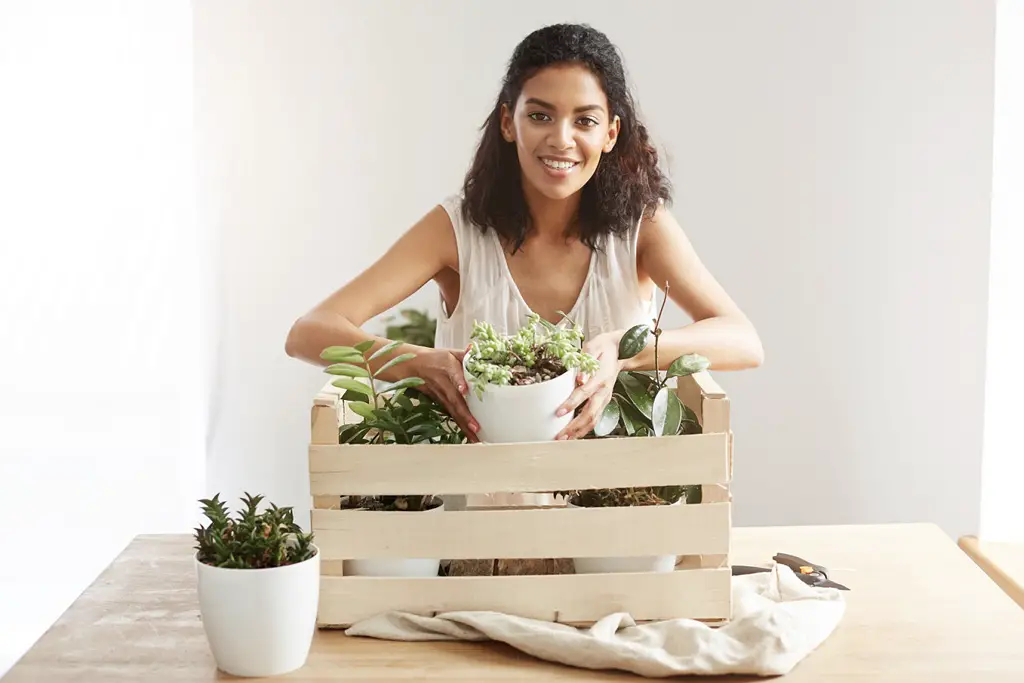 kule ideer for å velge blomsterkasse som passer hjemmet ditt