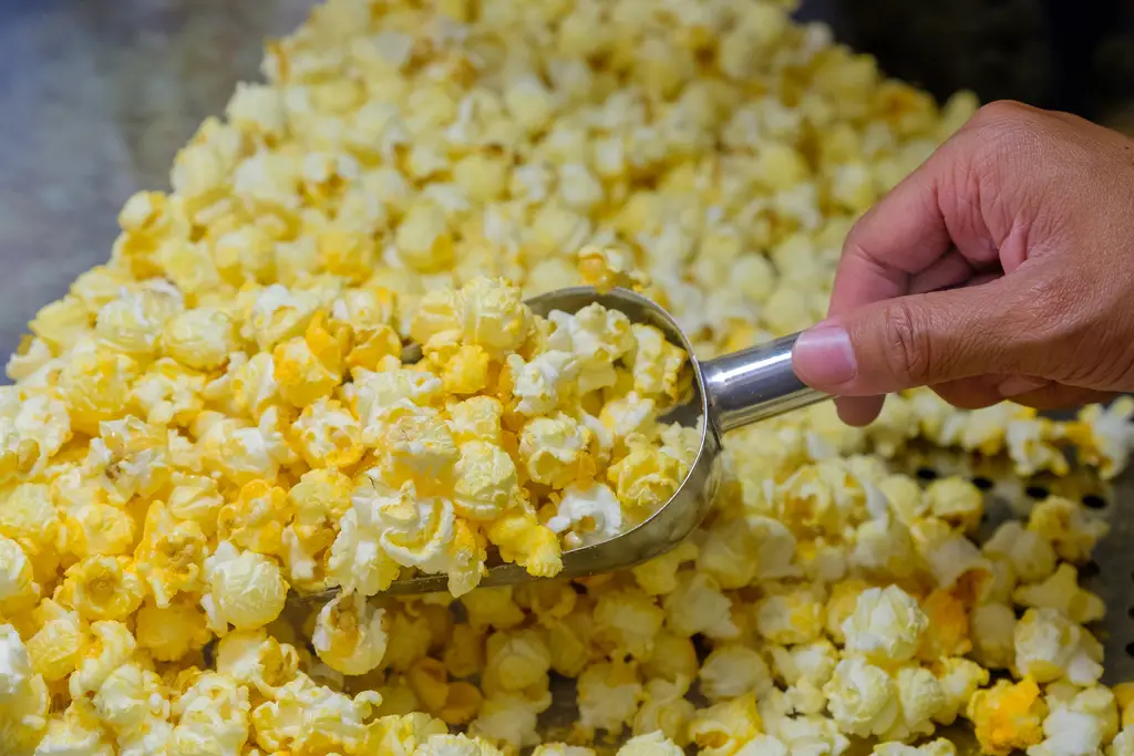 popcornmaskin test gjør filmkvelden enda bedre med en popcornmaskin

